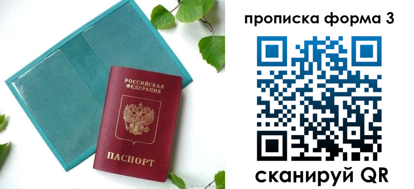 прописка ребенка в Димитровграде